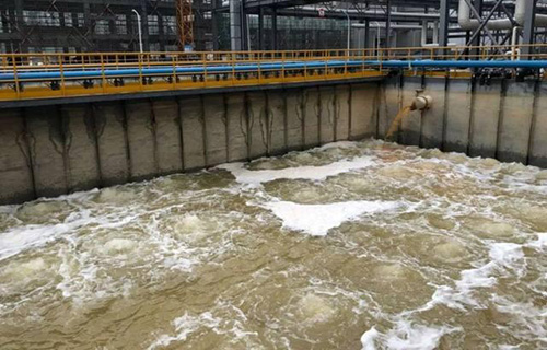 1702105865922731.jpg 未标题-1.jpg